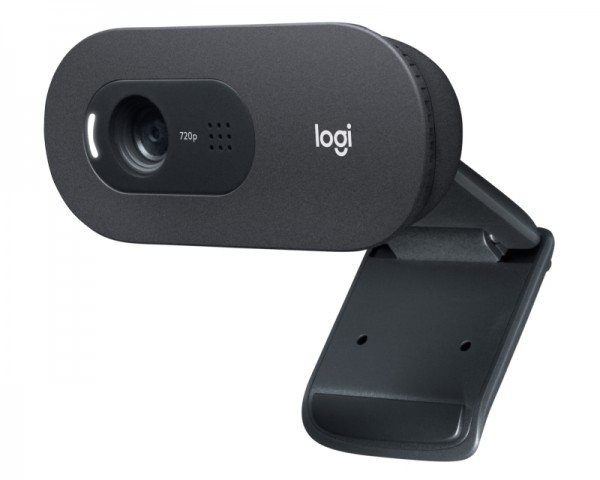 LOGITECH C505 Long Range HD web kamera